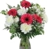 Ramo Clavel y Gerberas
