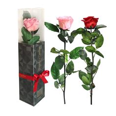 Rosa Preservada, Regalo de San Valentín, Rosa Eterna, Floristería Online, Rosas Naturales, Floristerías en Sevilla, Floristería La Alfalfa